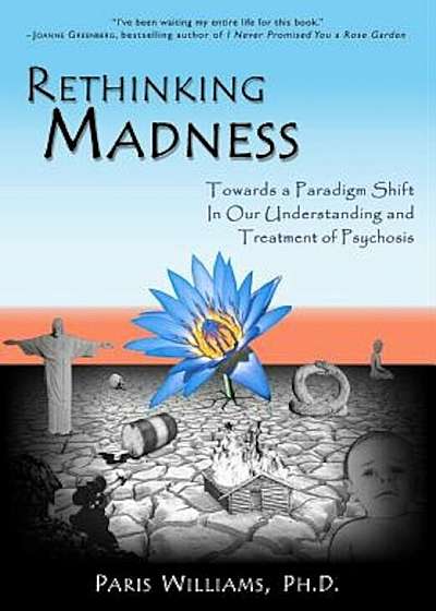 Rethinking Madness: Towards a Paradigm Shift in Our Understanding and Treatment of Psychosis, Paperback