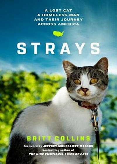 Strays: A Lost Cat, a Homeless Man, and Their Journey Across America, Hardcover