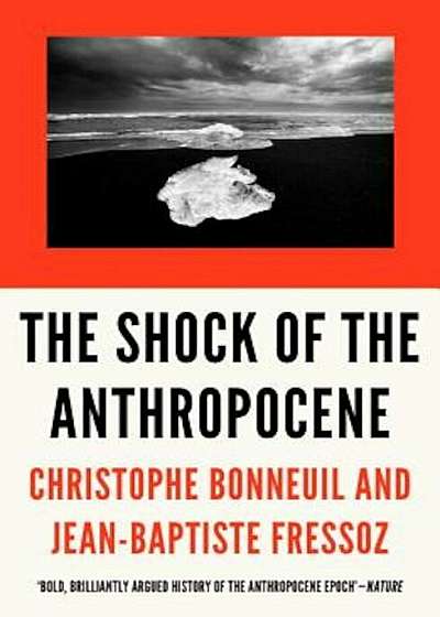 The Shock of the Anthropocene: The Earth, History and Us, Paperback