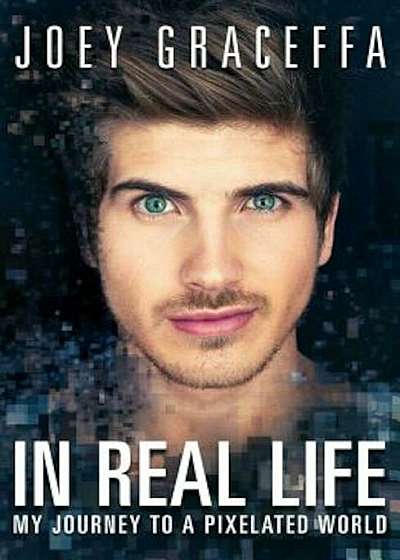 In Real Life: My Journey to a Pixelated World, Paperback