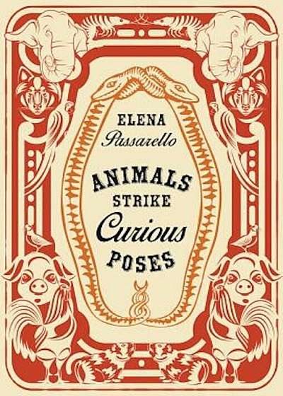 Animals Strike Curious Poses, Hardcover