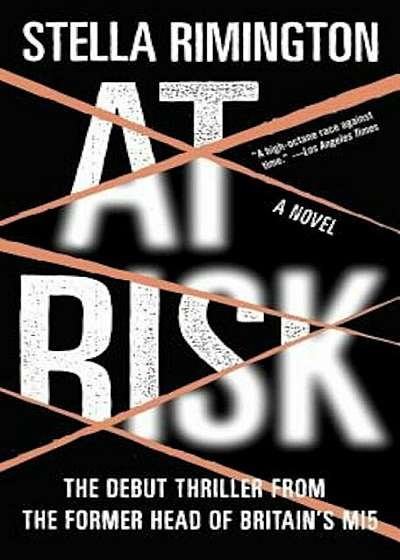 At Risk, Paperback