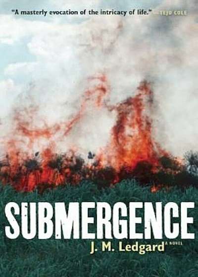 Submergence, Paperback