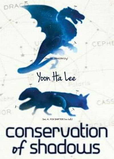 Conservation of Shadows, Paperback