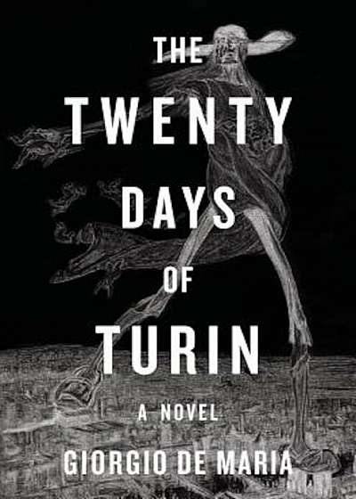 The Twenty Days of Turin, Hardcover