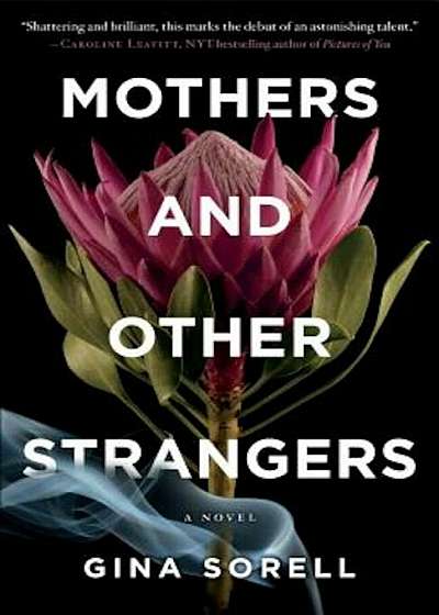 Mothers and Other Strangers, Paperback