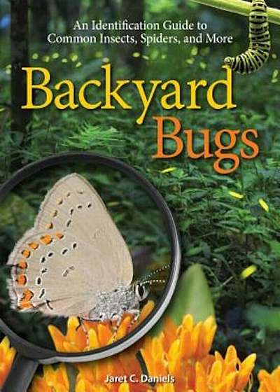Backyard Bugs: An Identification Guide to Common Insects, Spiders, and More, Paperback