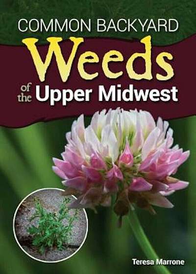 Common Backyard Weeds of the Upper Midwest, Paperback