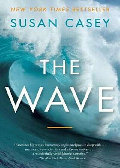 The Wave: In Pursuit of the Rogues, Freaks, and Giants of the Ocean, Paperback