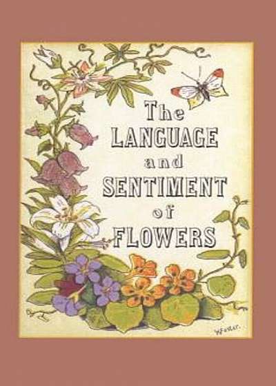 The Language and Sentiment of Flowers, Hardcover