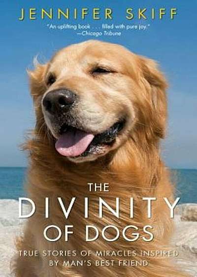 The Divinity of Dogs: True Stories of Miracles Inspired by Man's Best Friend, Paperback
