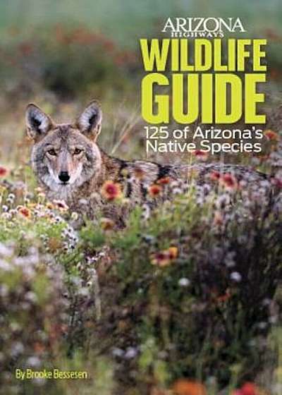 Arizona Highways Wildlife Guide: 125 of Arizona's Native Species, Paperback