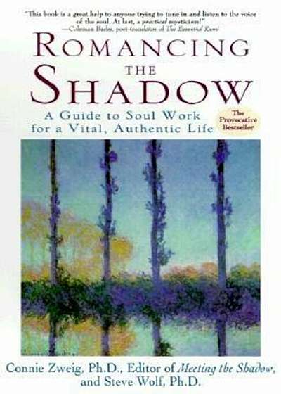 Romancing the Shadow, Paperback