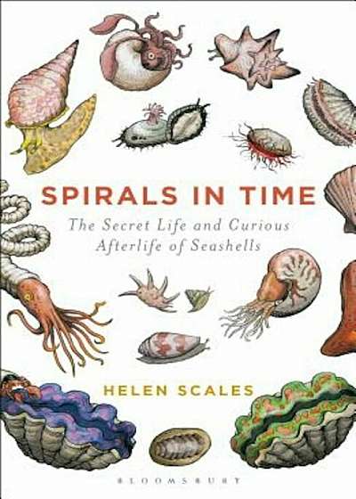Spirals in Time: The Secret Life and Curious Afterlife of Seashells, Paperback