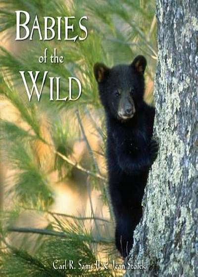 Babies of the Wild, Hardcover