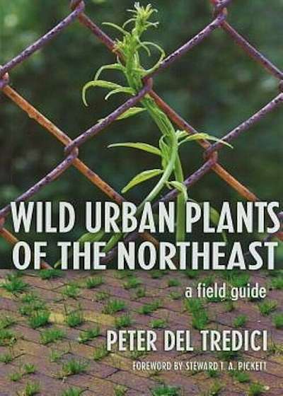 Wild Urban Plants of the Northeast: A Field Guide, Paperback