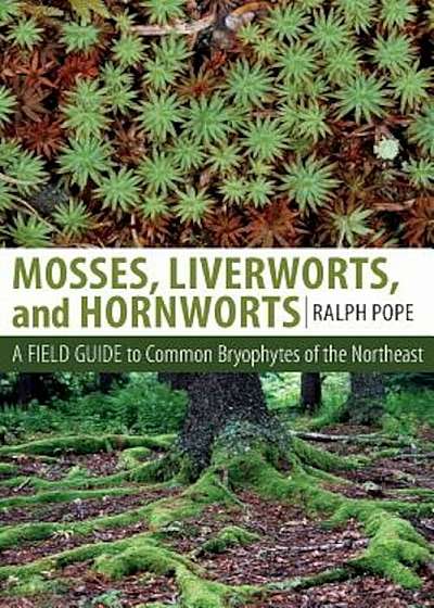 Mosses, Liverworts, and Hornworts: A Field Guide to Common Bryophytes of the Northeast, Paperback