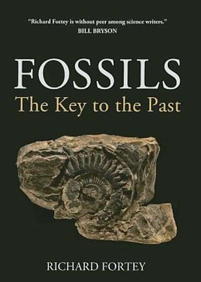 Fossils: The Key to the Past, Paperback