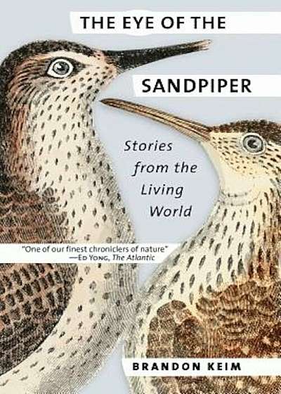 The Eye of the Sandpiper: Stories from the Living World, Paperback