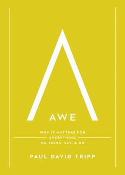 Awe: Why It Matters for Everything We Think, Say, and Do, Hardcover