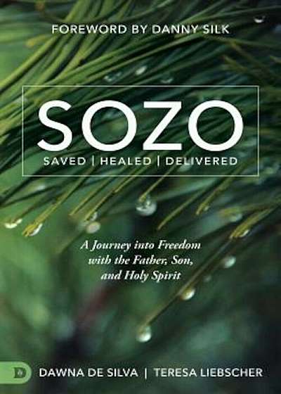 Sozo Saved Healed Delivered: A Journey Into Freedom with the Father, Son, and Holy Spirit, Paperback