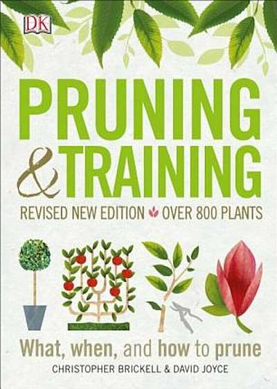 Pruning and Training, Revised New Edition: What, When, and How to Prune, Paperback