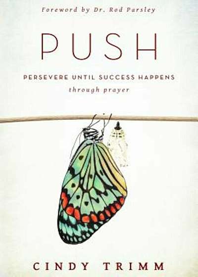 Push: Persevere Until Success Happens Through Prayer, Paperback