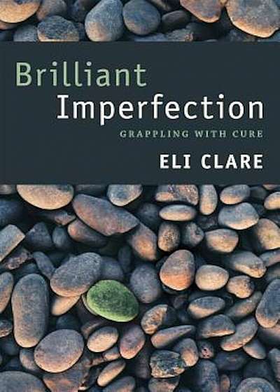 Brilliant Imperfection: Grappling with Cure, Paperback