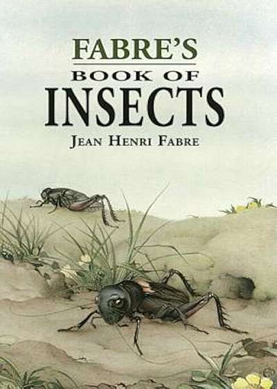 Fabre's Book of Insects, Paperback