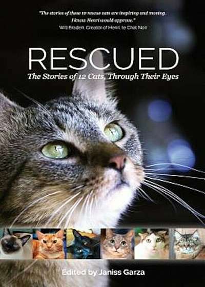 Rescued: The Stories of 12 Cats, Through Their Eyes, Paperback