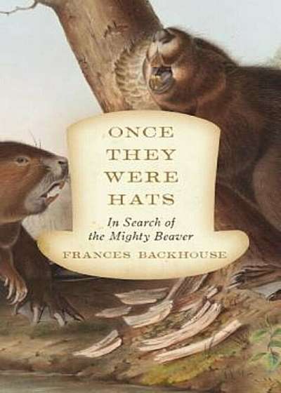 Once They Were Hats: In Search of the Mighty Beaver, Paperback