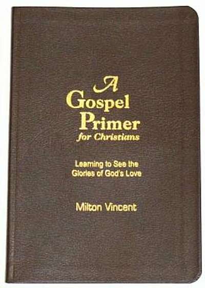 A Gospel Primer for Christians: Learning to See the Glories of God's Love, Paperback