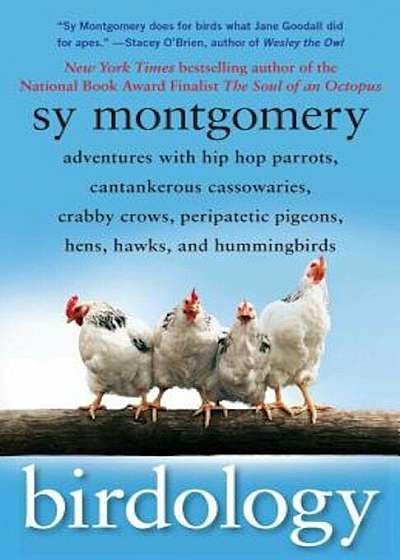 Birdology: Adventures with Hip Hop Parrots, Cantankerous Cassowaries, Crabby Crows, Peripatetic Pigeons, Hens, Hawks, and Humming, Paperback