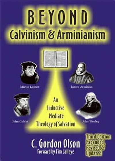 Beyond Calvinism & Arminianism: An Inductive, Mediate Theology of Salvation, Paperback