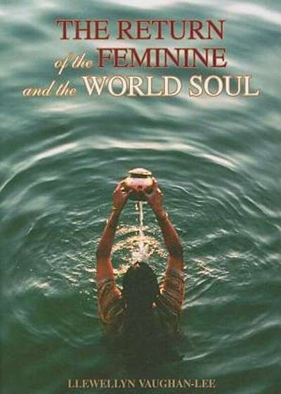 The Return of the Feminine & the World Soul, Paperback