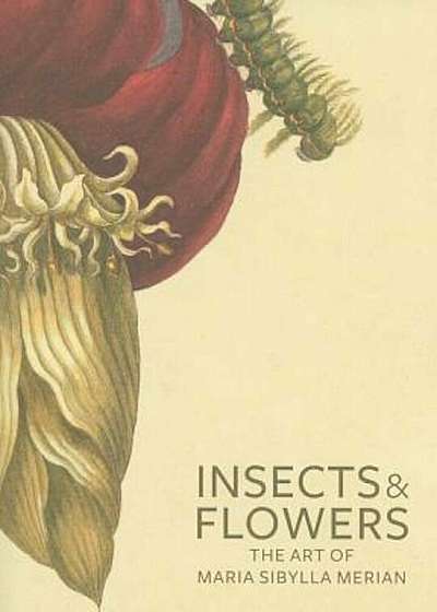 Insects & Flowers: The Art of Maria Sibylla Merian, Paperback