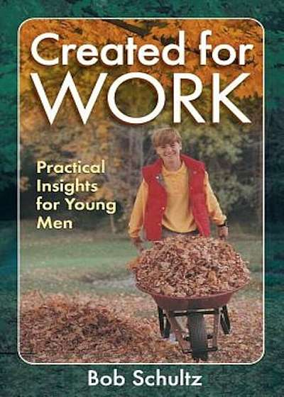 Created for Work: Practical Insights for Young Men, Paperback