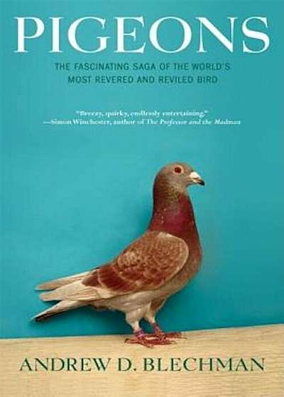 Pigeons: The Fascinating Saga of the World's Most Revered and Reviled Bird, Paperback