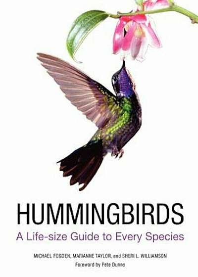 Hummingbirds: A Life-Size Guide to Every Species, Hardcover