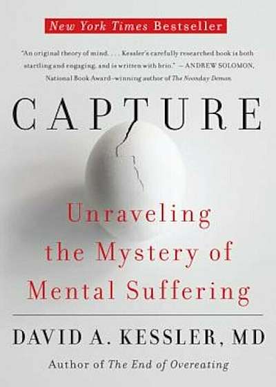 Capture: Unraveling the Mystery of Mental Suffering, Paperback