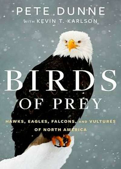 Birds of Prey: Hawks, Eagles, Falcons, and Vultures of North America, Hardcover