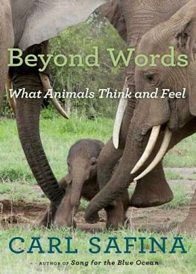 Beyond Words: What Animals Think and Feel, Hardcover