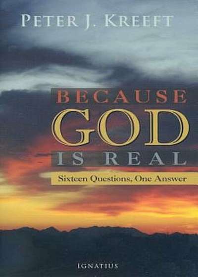 Because God Is Real: Sixteen Questions, One Answer, Paperback