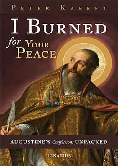 I Burned for Your Peace: Augustine's Confessions Unpacked, Paperback