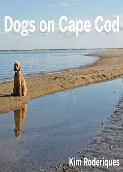 Dogs on Cape Cod, Hardcover