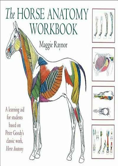 The Horse Anatomy Workbook: A Learning Aid for Students Based on Peter Goody's Classic Work, Horse Anatomy, Paperback