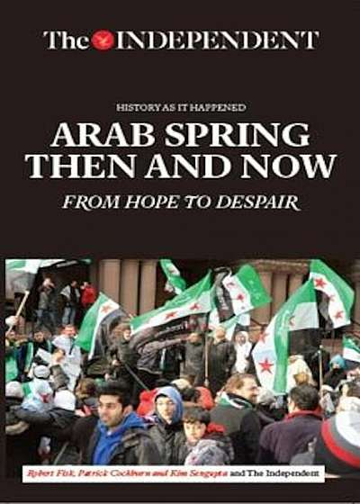 Arab Spring Then and Now: From Hope to Despair, Paperback