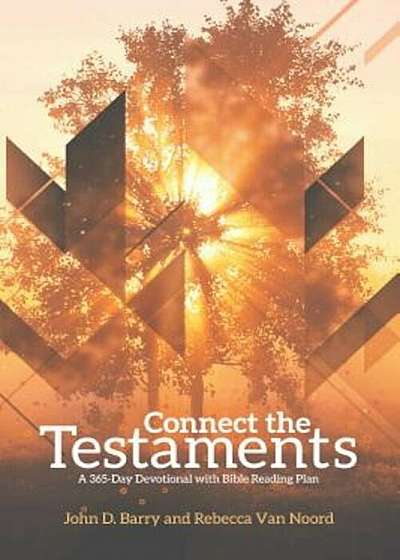 Connect the Testaments: A 365-Day Devotional with Bible Reading Plan, Paperback