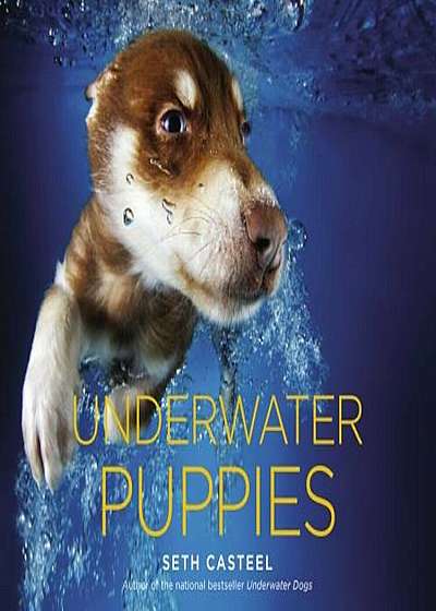 Underwater Puppies, Hardcover