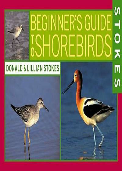 Stokes Beginner's Guide to Shorebirds, Paperback